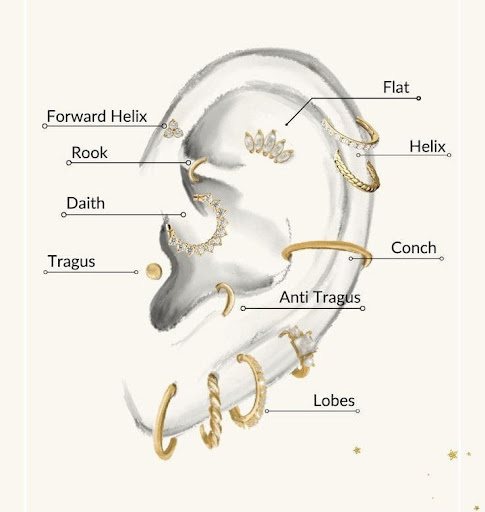 انواع سوراخ گوش